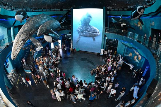 Russia Primorsky Aquarium