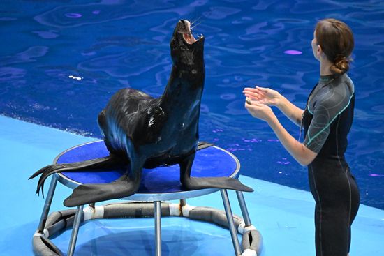 Russia Primorsky Aquarium