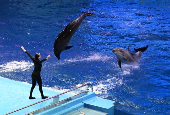 Russia Primorsky Aquarium