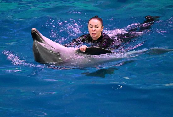 Russia Primorsky Aquarium