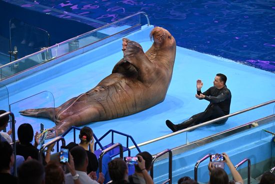 Russia Primorsky Aquarium