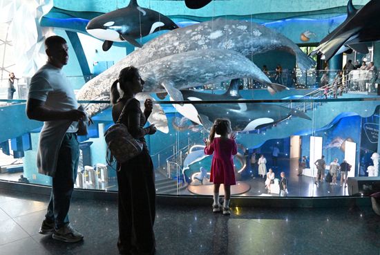 Russia Primorsky Aquarium