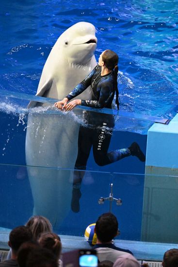 Russia Primorsky Aquarium