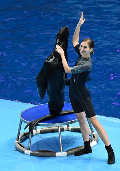 Russia Primorsky Aquarium
