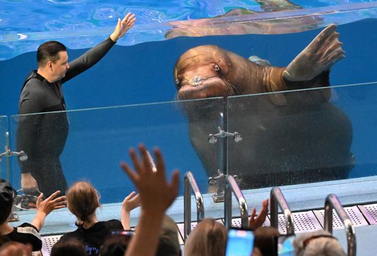 Russia Primorsky Aquarium