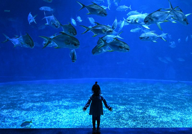 Russia Primorsky Aquarium