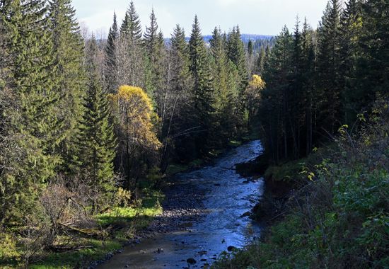 Russia Environment