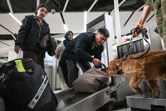Russia Tolmachevo Airport Customs Service