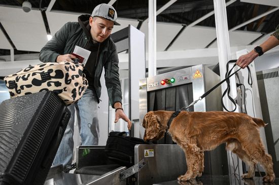 Russia Tolmachevo Airport Customs Service