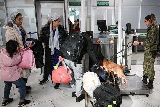 Russia Tolmachevo Airport Customs Service
