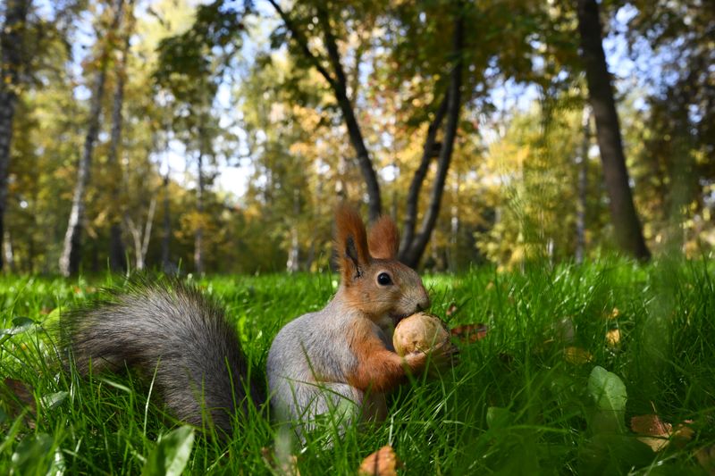 Russia Daily Life