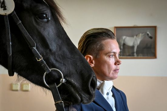 Russia Horse Auction