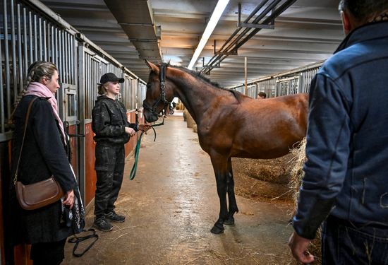 Russia Horse Auction