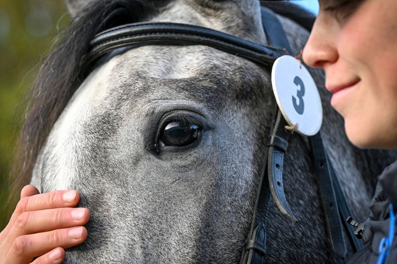 Russia Horse Auction