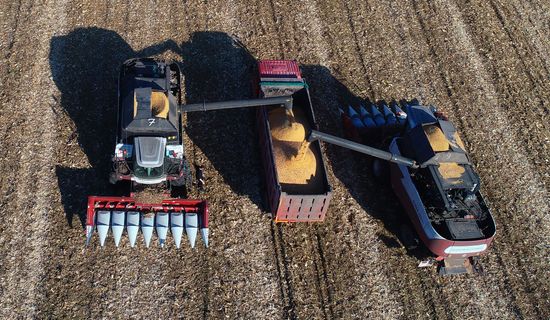 Russia Agriculture Corn Harvesting