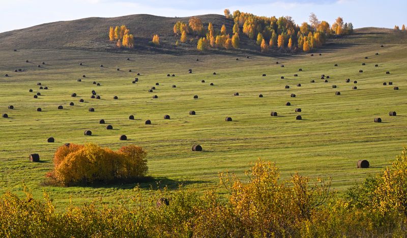 Russia Daily Life