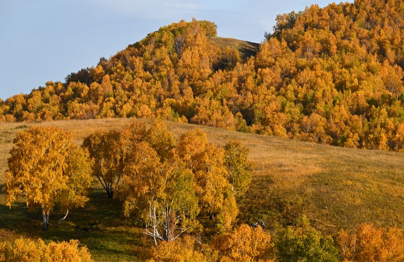 Russia Daily Life