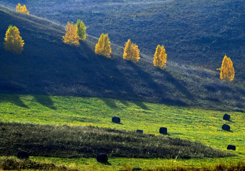 Russia Daily Life