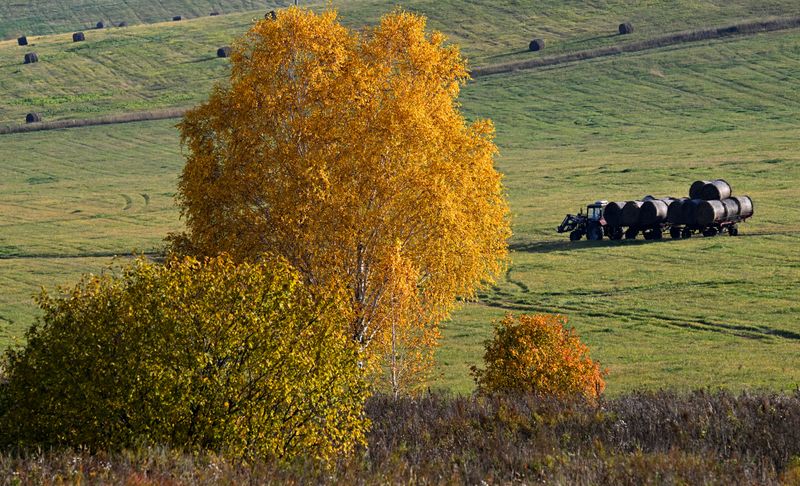 Russia Daily Life