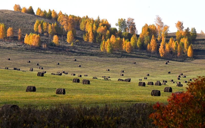 Russia Daily Life