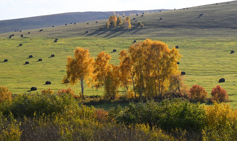 Russia Daily Life