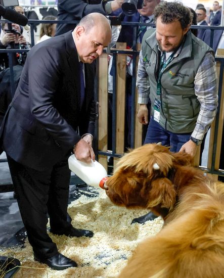 Russia Mishustin Agricultural Exhibition