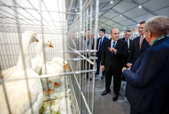 Russia Mishustin Agricultural Exhibition