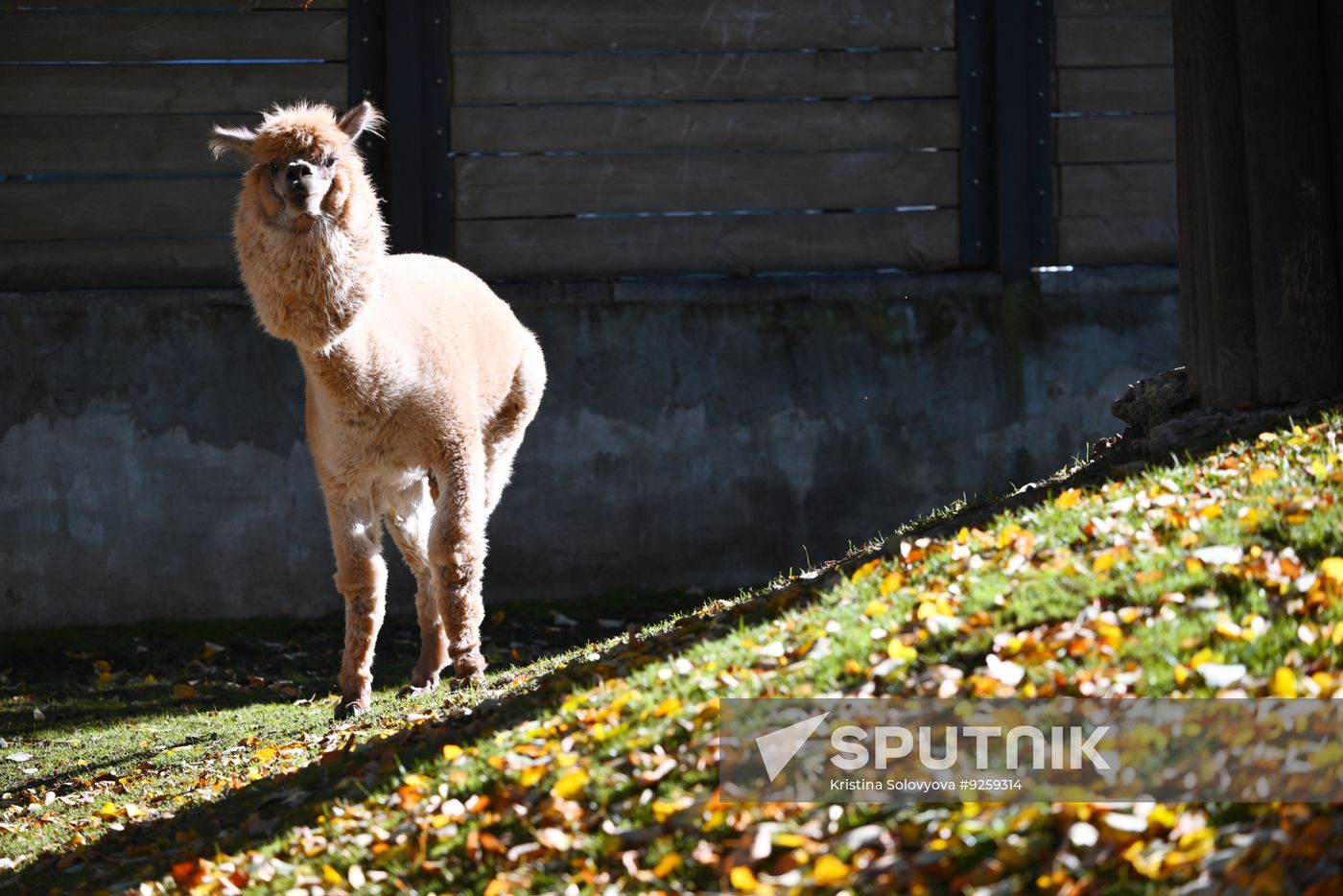 Russa Zoo