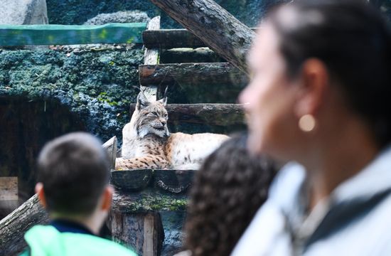 Russa Zoo