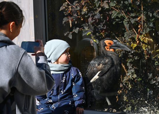 Russa Zoo