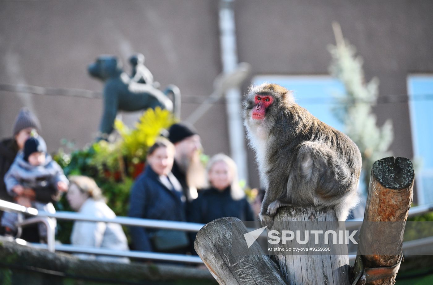 Russa Zoo