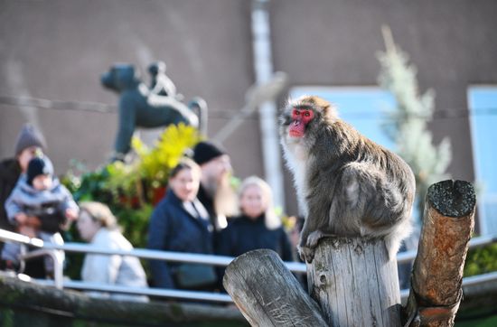 Russa Zoo