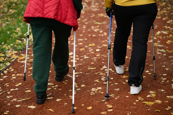 Russia Elderly People Leisure Activities