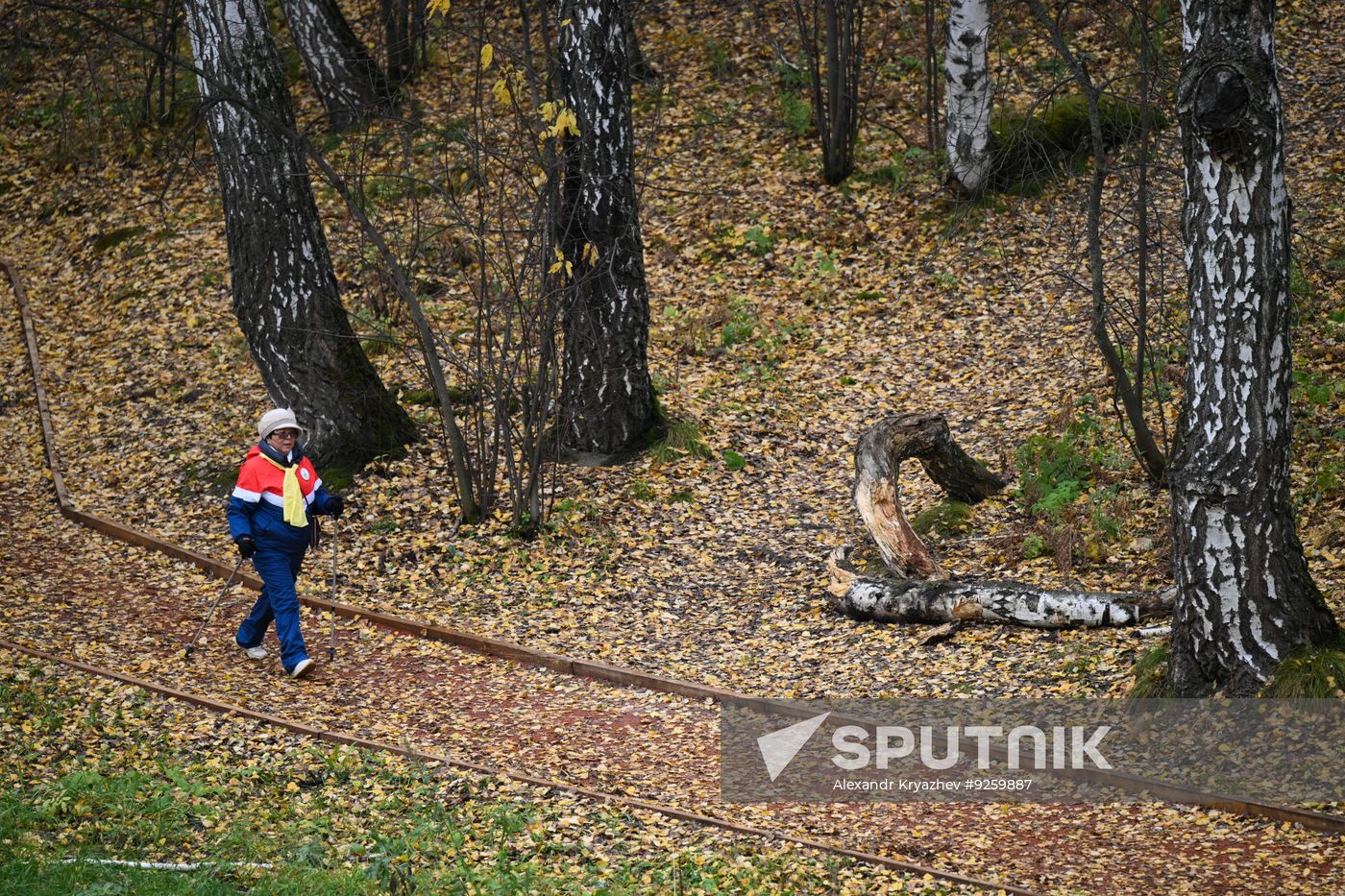 Russia Elderly People Leisure Activities