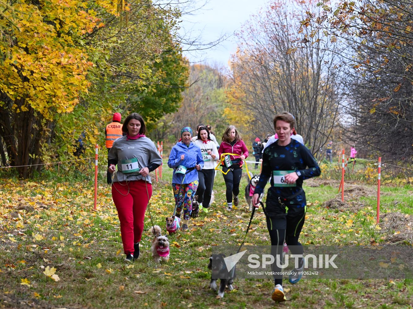 Russia Dog Run
