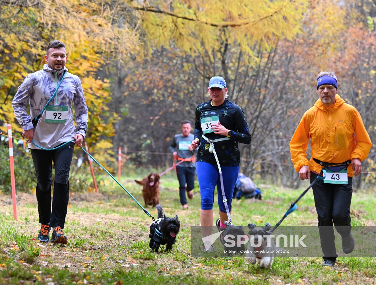 Russia Dog Run