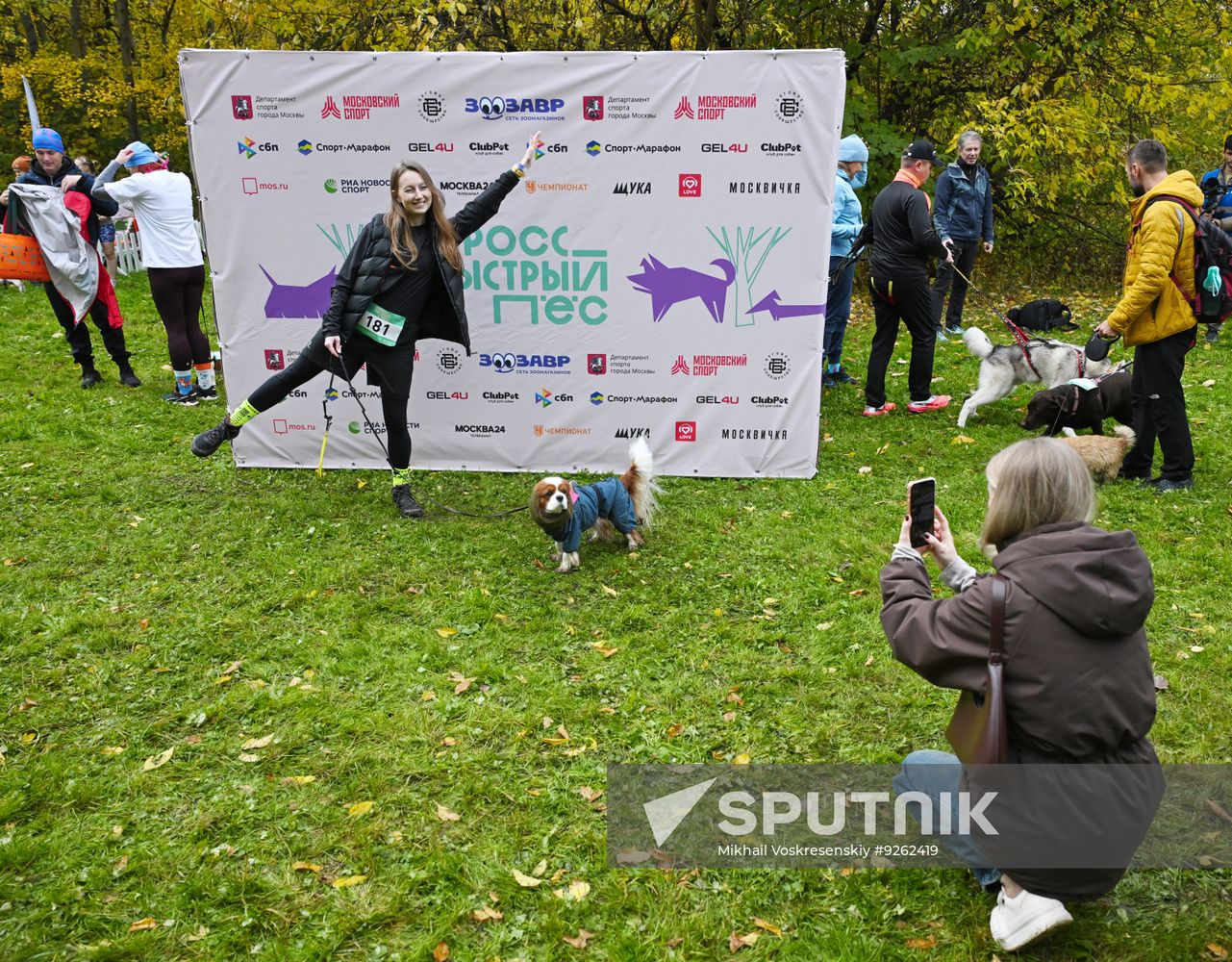 Russia Dog Run