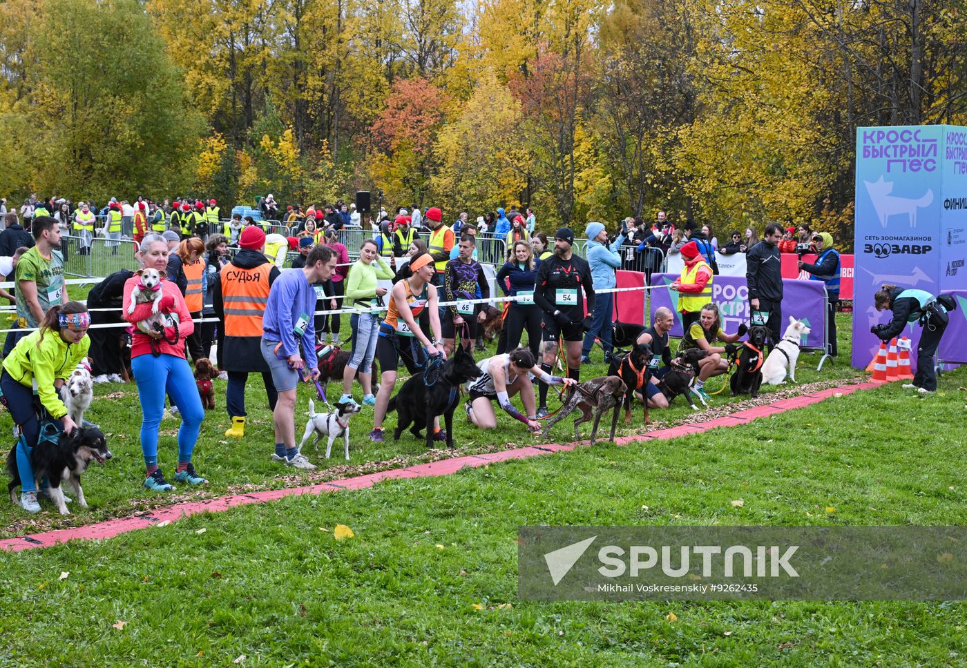 Russia Dog Run