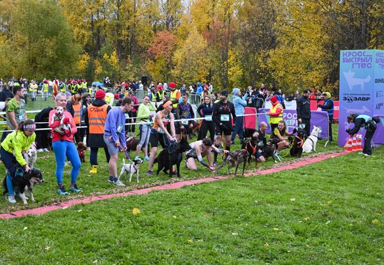 Russia Dog Run