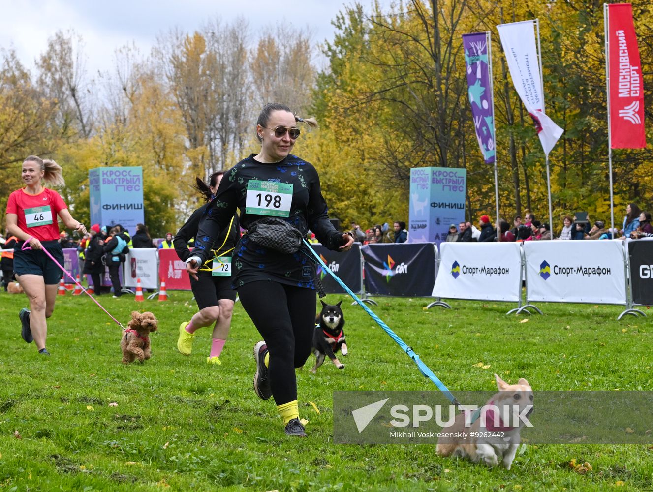Russia Dog Run