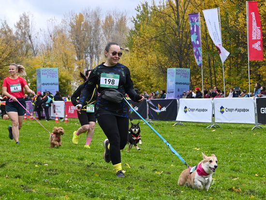 Russia Dog Run