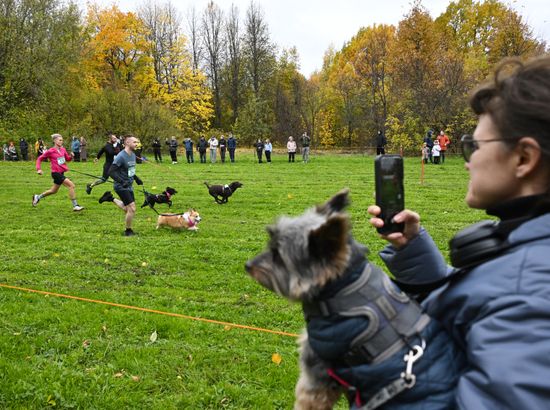Russia Dog Run
