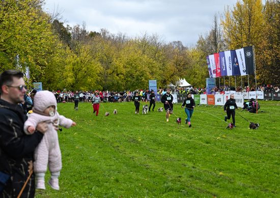 Russia Dog Run