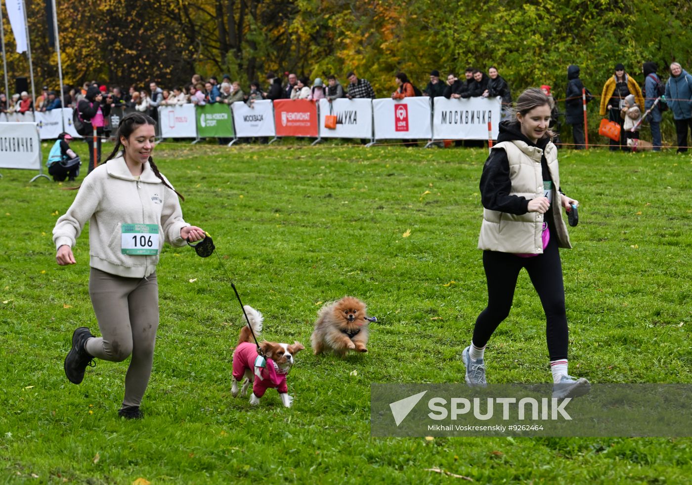 Russia Dog Run