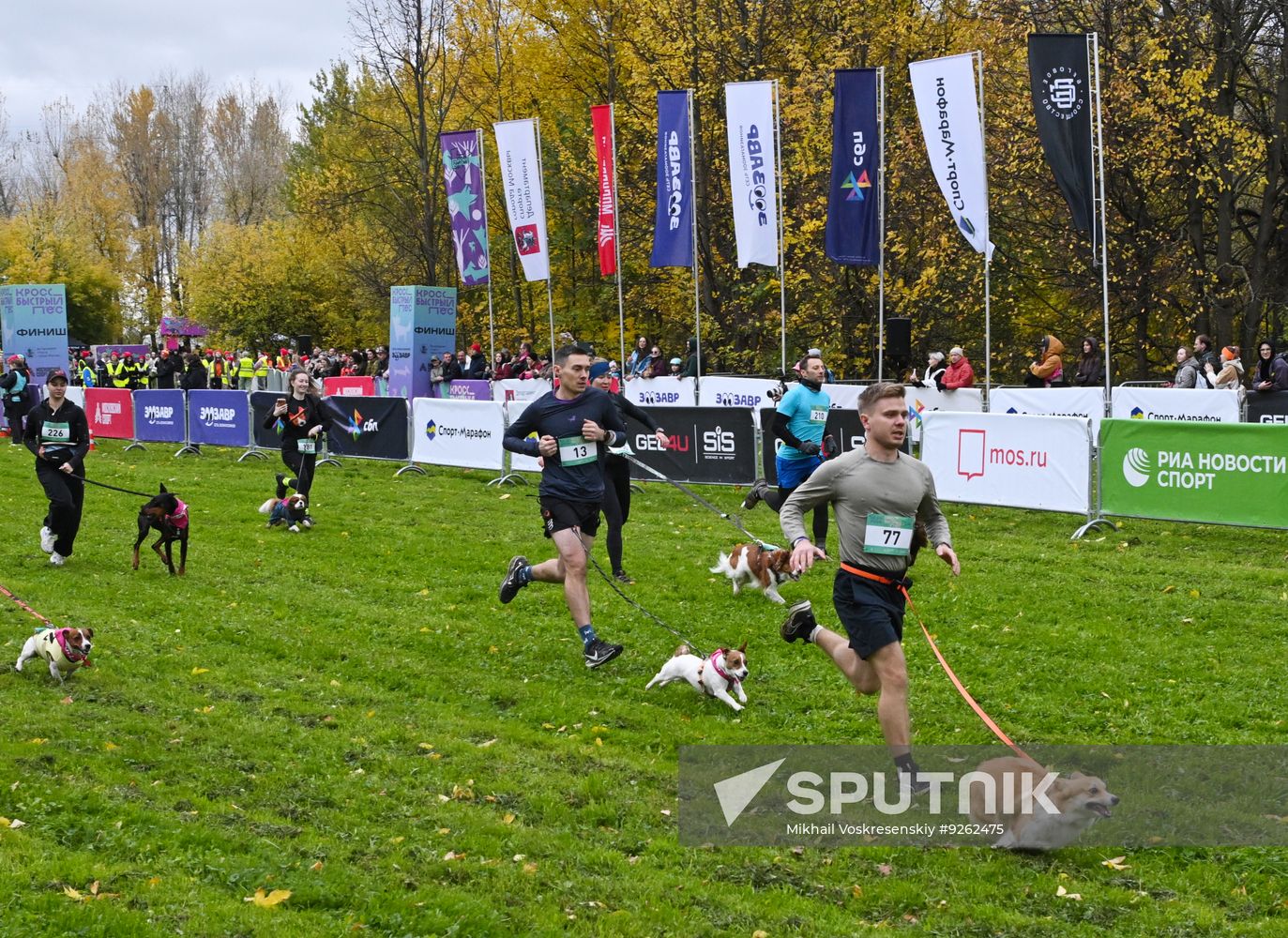 Russia Dog Run
