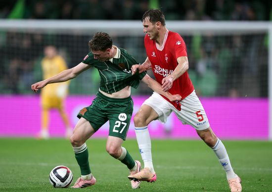Russia Soccer Cup Krasnodar - Fakel