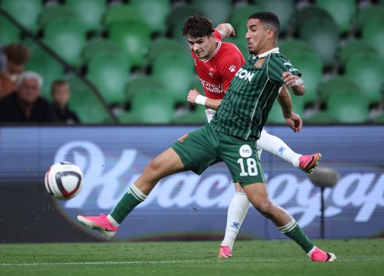 Russia Soccer Cup Krasnodar - Fakel