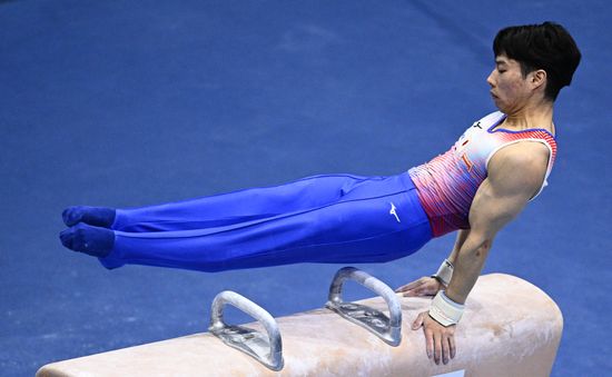 Netherlands Artistic Gymnastics World Championships Qualifiers