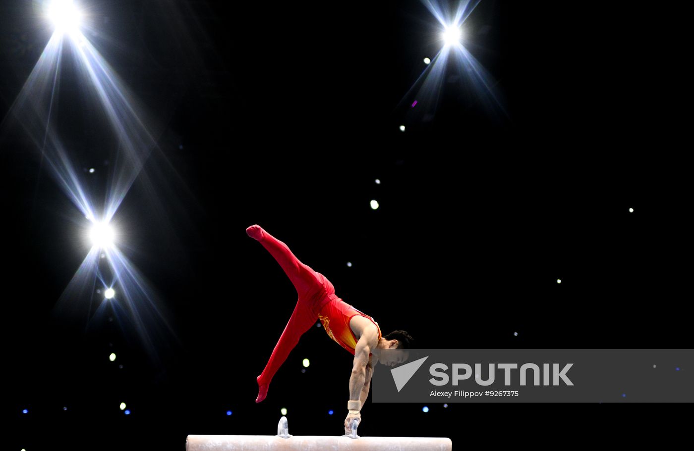 Netherlands Artistic Gymnastics World Championships Qualifiers
