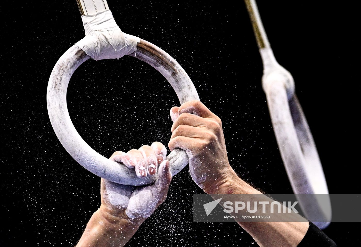 Netherlands Artistic Gymnastics World Championships Qualifiers